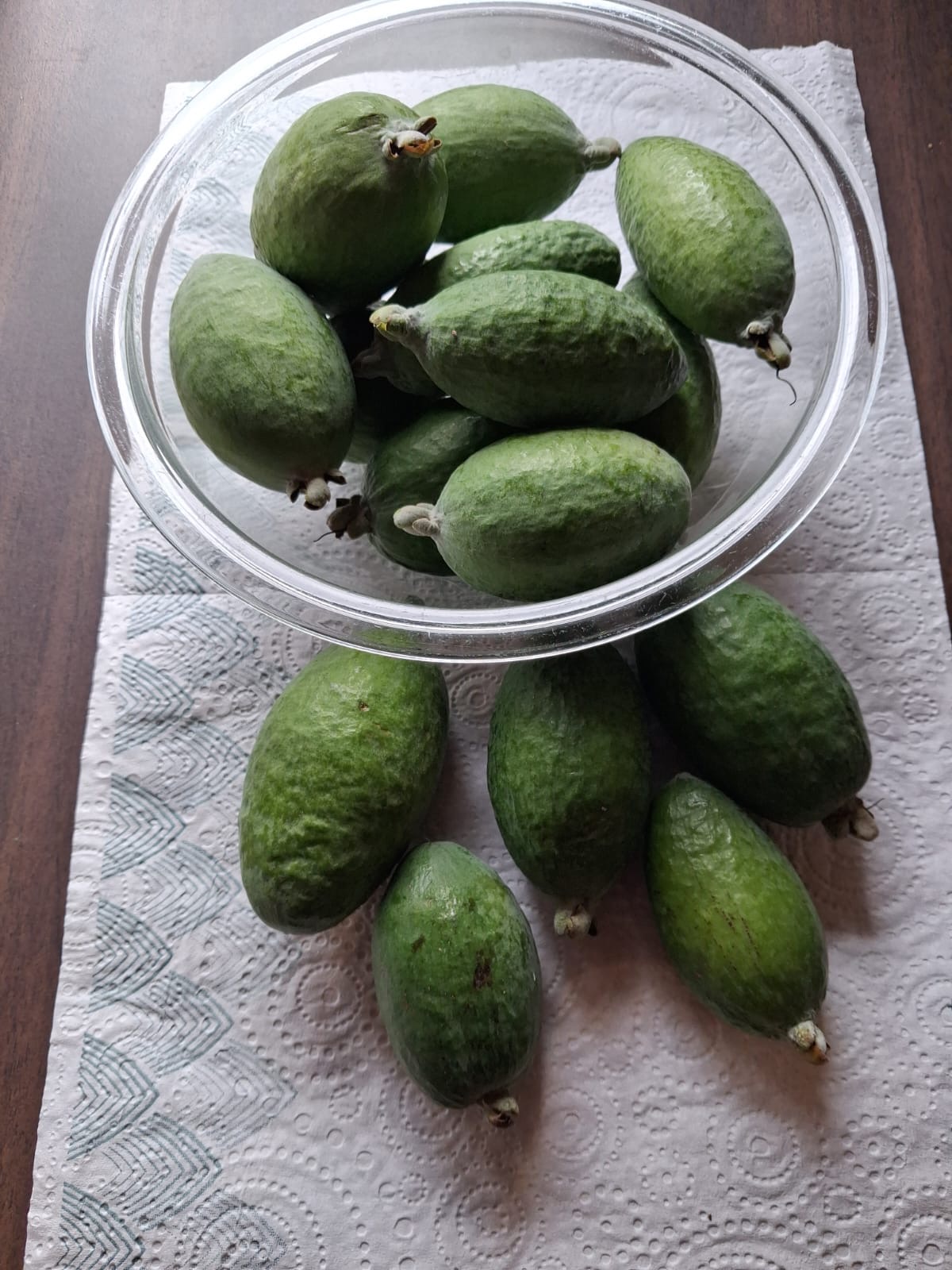 Fresh feijoas – Heathvale Orchards, Heathcote Christchurch